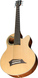 6-String Acoustic Basses