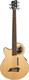 Izquierdo Acoustic Bass 5-String