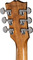 Gibson Les Paul Standard 60's Figured Top (honey amber)