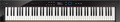 Casio PX-S6000 (black) Stage Pianos