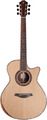 Furch Red Deluxe Gc-LR / Top: Alpine Spruce, Back & Sides: Rosewood (LR Baggs Stagepro Anthem pickup)