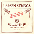 Larsen C String (medium)