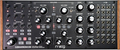 Moog Subharmonicon Synthesizer-Module