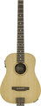 Traveler Guitar Redlands Dreadnought 105E (spruce top) Traveler Acoustic Guitars