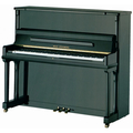 Wilhelm Steinberg IQ 28 Upright Piano (polished ebony) Piano Acústico