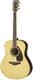 Acoustic Guitars with Pickup