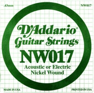 D'Addario NW 017