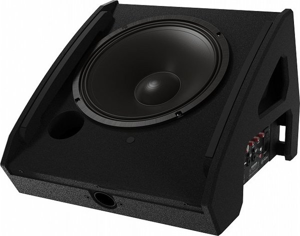 EV PXM-12MP / 12' Powered Coaxial Monitor (black)