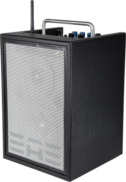 Elite Acoustics A2-5 / Portable Acoustic Amp (carbon fiber black)