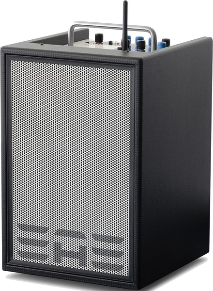 Elite Acoustics A4-8 MKII / Portable Acoustic Amp (carbon fiber black)