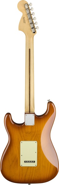 Fender American Performer Stratocaster RW (honey burst)