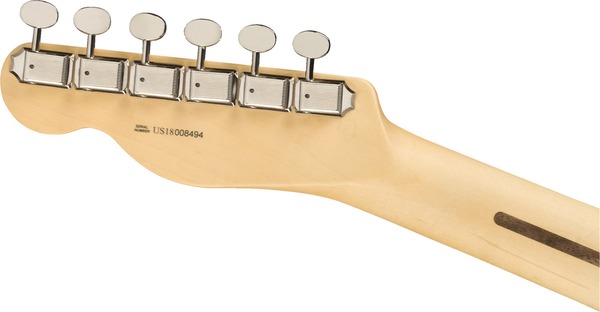 Fender American Performer Telecaster HS RW (aubergine)