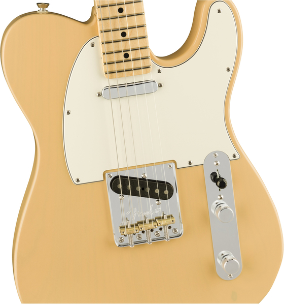 Fender American Pro Tele Light Ash Limited Edition (honey blonde)