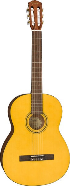 Fender ESC 110