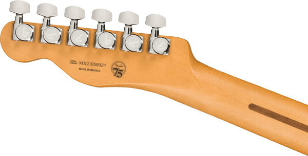 Fender Player Plus Nashville Telecaster MN (butterscotch blonde)