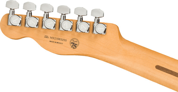 Fender Player Plus Nashville Telecaster PF (opal spark)