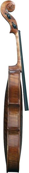 Gewa Maestro 6 Viola (16' / 40.8 cm, set-up)