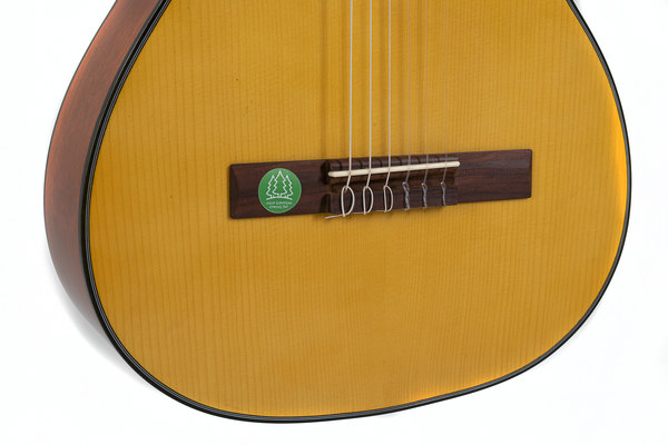 Gewa Student Solid Top Classical Guitar (7/8)