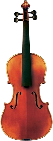 Gewa Violin Maestro 6 (1/4)