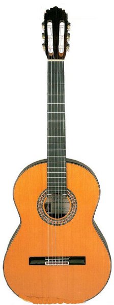 Rodriguez Model D Spruce Top (Spruce)