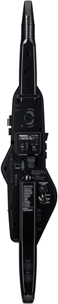 Roland AE-30 Aerophone Pro (black & brushed metal)