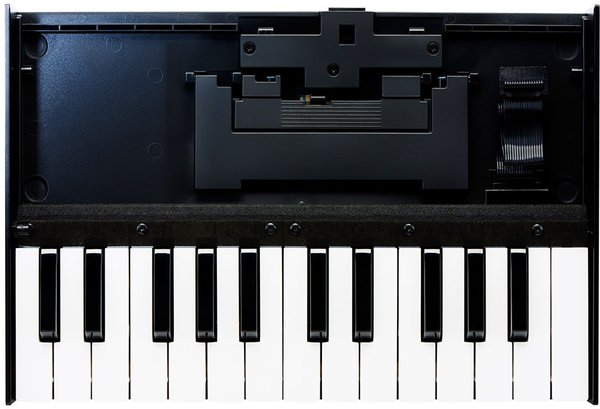 Roland K-25m / Boutique K25m