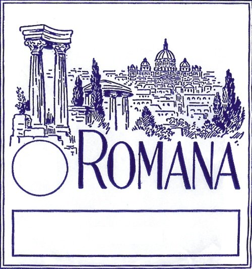 Romana (DIS'9)