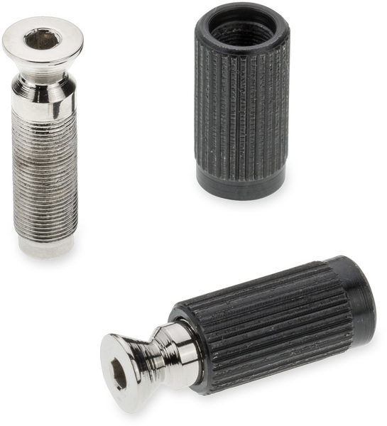 Schaller Mounting Studs and Inserts (pair / black chrome)