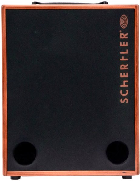 Schertler UNICO (5 channels - 250W - wood)