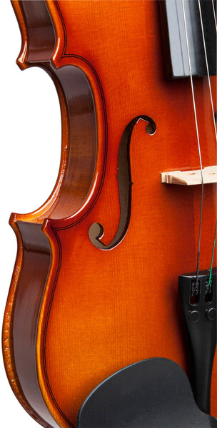 Stagg VN-4/4 Tonewood Violin (incl. soft case)