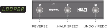 Strymon Multiswitch