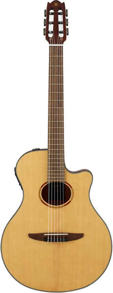 Yamaha NTX1 (natural)