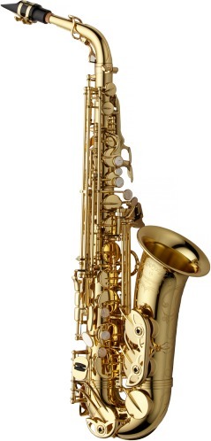 Yanagisawa A-WO10 / Alto Saxophone (gold-lacquer finish)