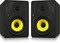 Behringer B1030A Pair Truth (Active)