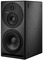 Dynaudio Core 59 (dark grey)