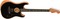 Fender American Acoustasonic Stratocaster (black)