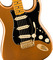 Fender Bruno Mars Stratocaster® (mars mocha)