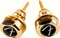 Fender Infinity Strap Locks (gold)