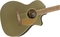 Fender Newporter Player (olive satin)