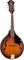 Fender PM-180E Mandolin (aged cognac burst, w/ bag)