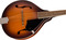 Fender PM-180E Mandolin (aged cognac burst, w/ bag)