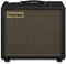 Friedman Amplification Runt-20 Combo