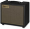 Friedman Amplification Runt-20 Combo