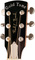 Gold Tone GRS Paul Beard Metal Body Resonator Guitar