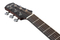 Ibanez AAD170LCE-LGS (natural low gloss)