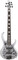 Ibanez BTB25TH5 25th Anniversary Edition (silver blizzard matte)