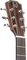 J.N Guitars DOV-D / dreadnought (natural)