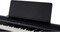 Korg B2 SP (black)