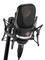 Neumann TLM107 (black)