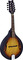Ortega RMA5VS A-Style Mandolin (vintage sunburst)